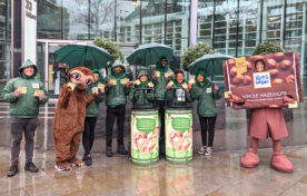 Sainsbury's head office sampling